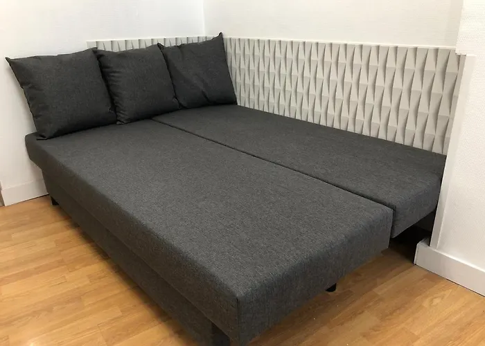 דירה New Saint Maur-logement Lovely Flat 32m2